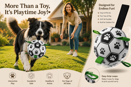 Interactive Dog Football Toy Soccer