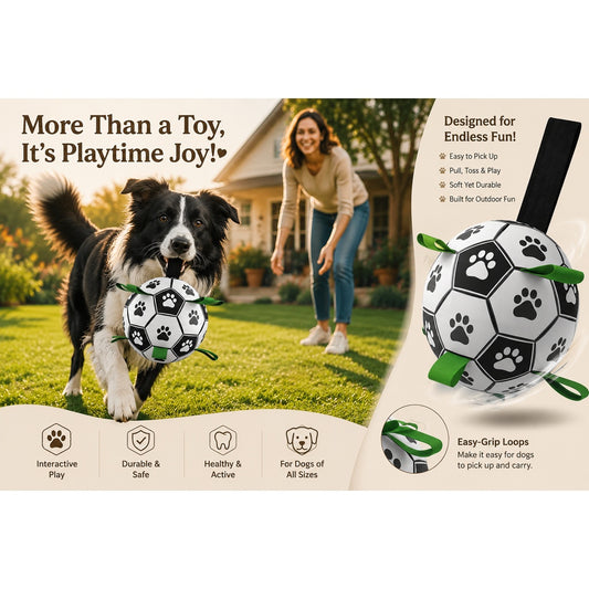FetchPro Soccer Ball